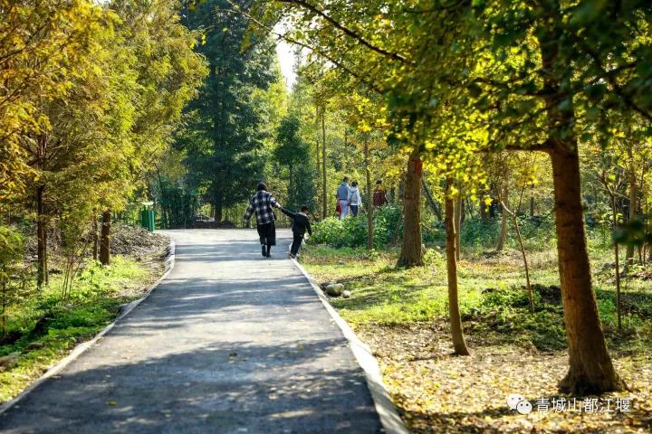 青城山熊猫谷都江堰一日游攻略,熊猫谷青城山都江堰一日游攻略