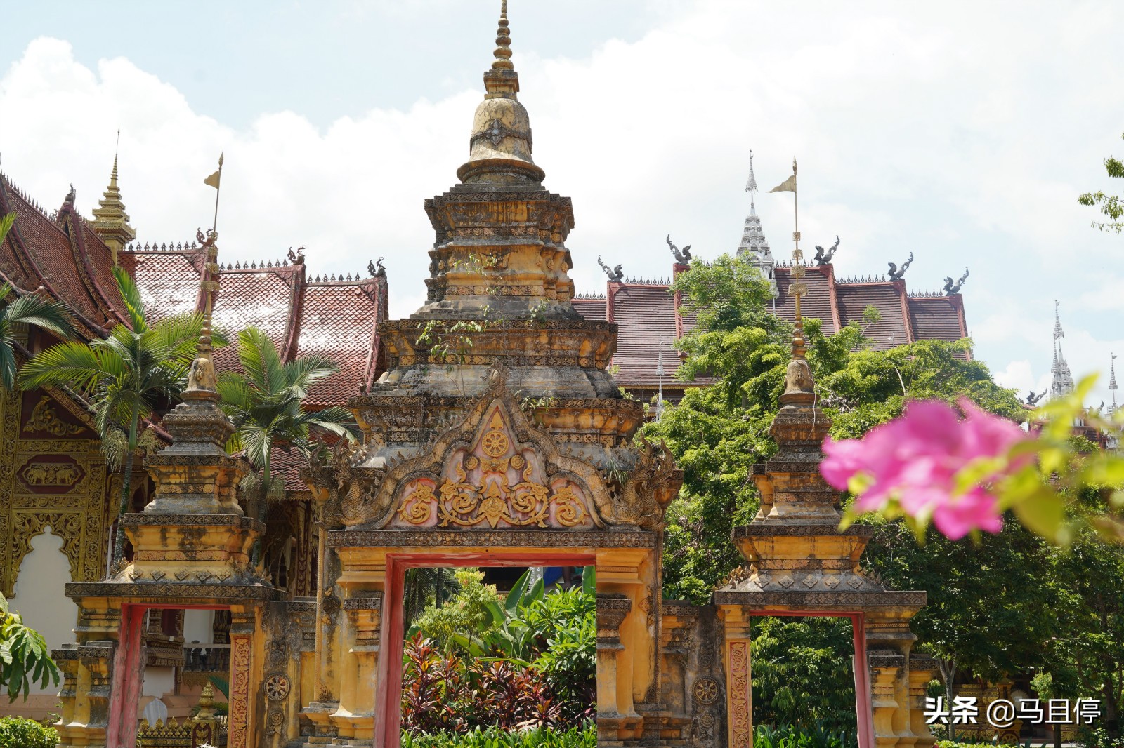 西双版纳看孔雀大象是哪个景点,西双版纳第一名景点