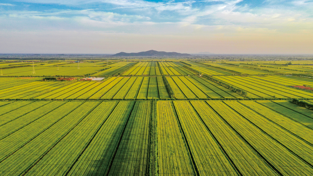 江苏东辛：上半年利润破亿高质量发展开新局