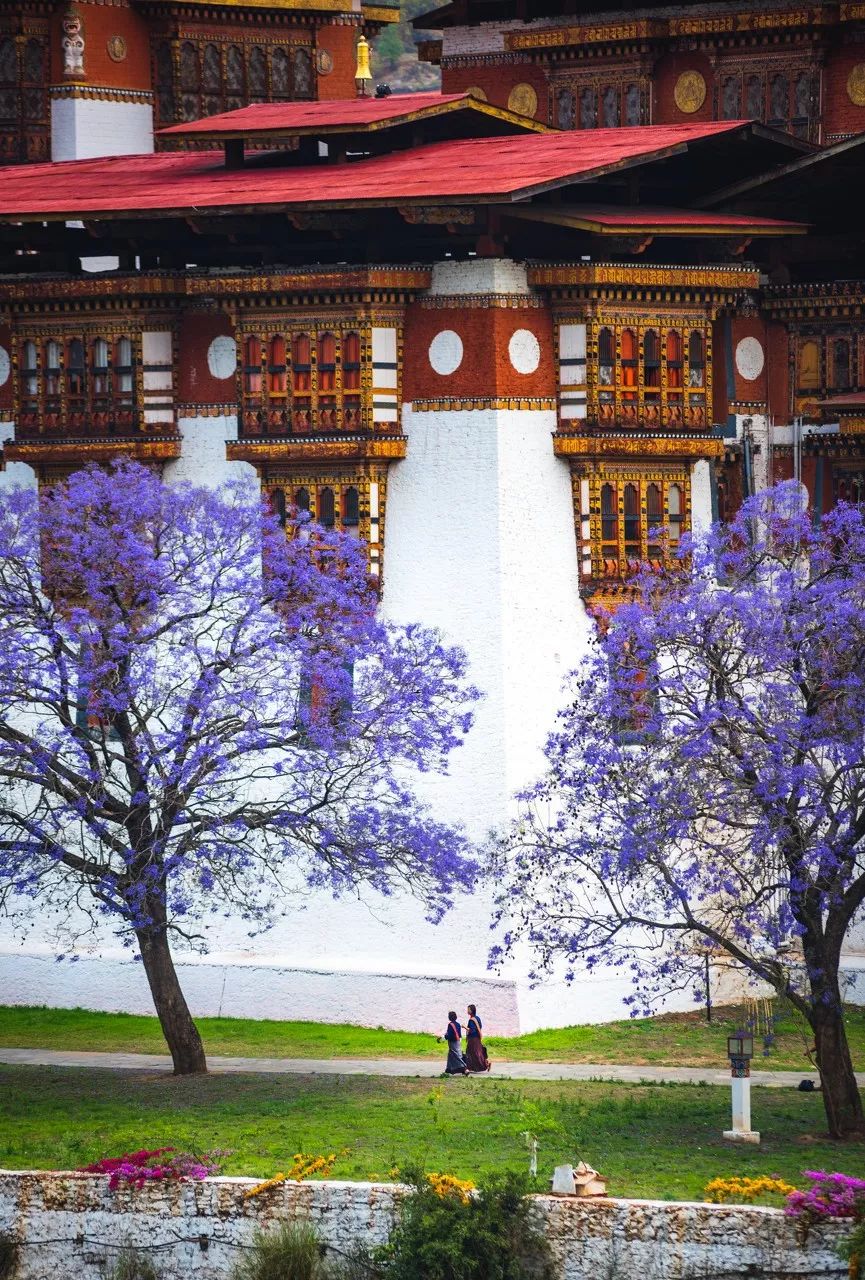 不丹旅游有什么好推荐的地方吗,不丹旅游最佳攻略