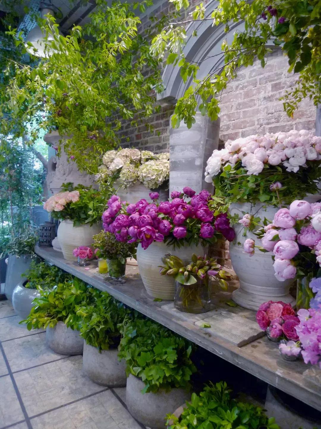 世界上超美的小花店,世界上的小花店