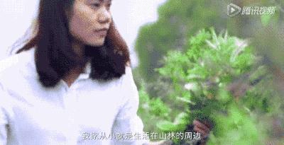 她31岁放弃北漂，回归自然，用枯枝败叶，打造了一个梦幻森林