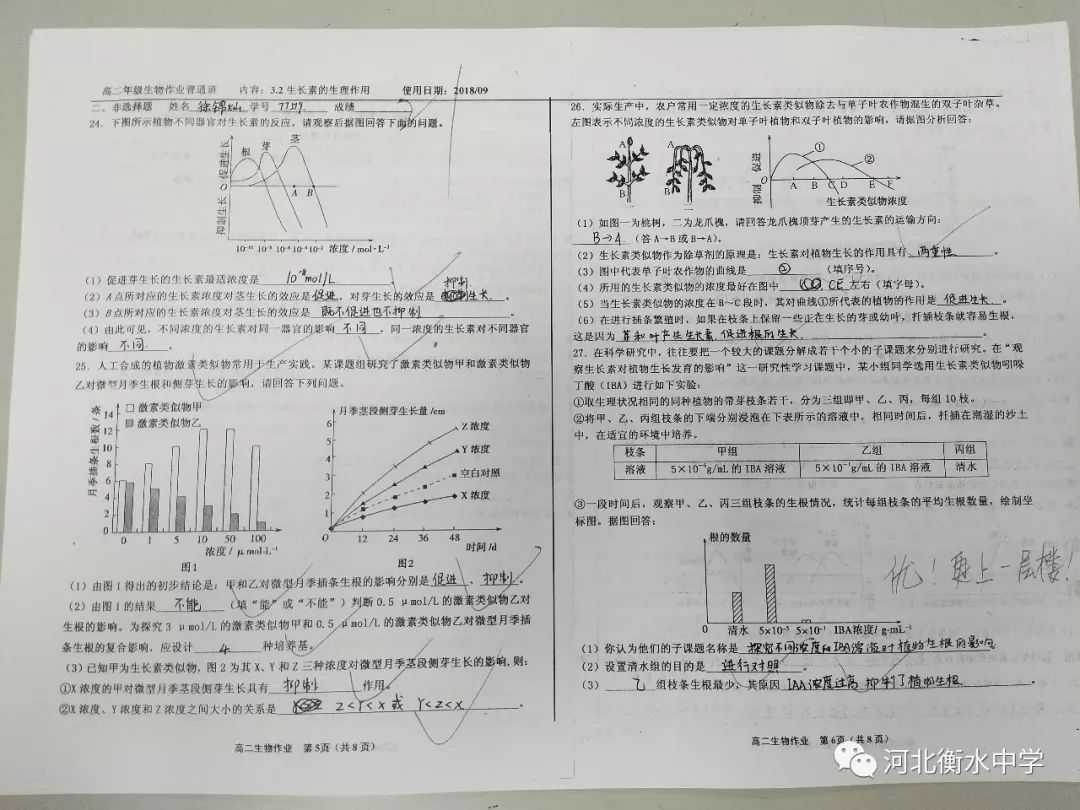 衡水中学学生夸衡中,衡水中学老师批改试卷