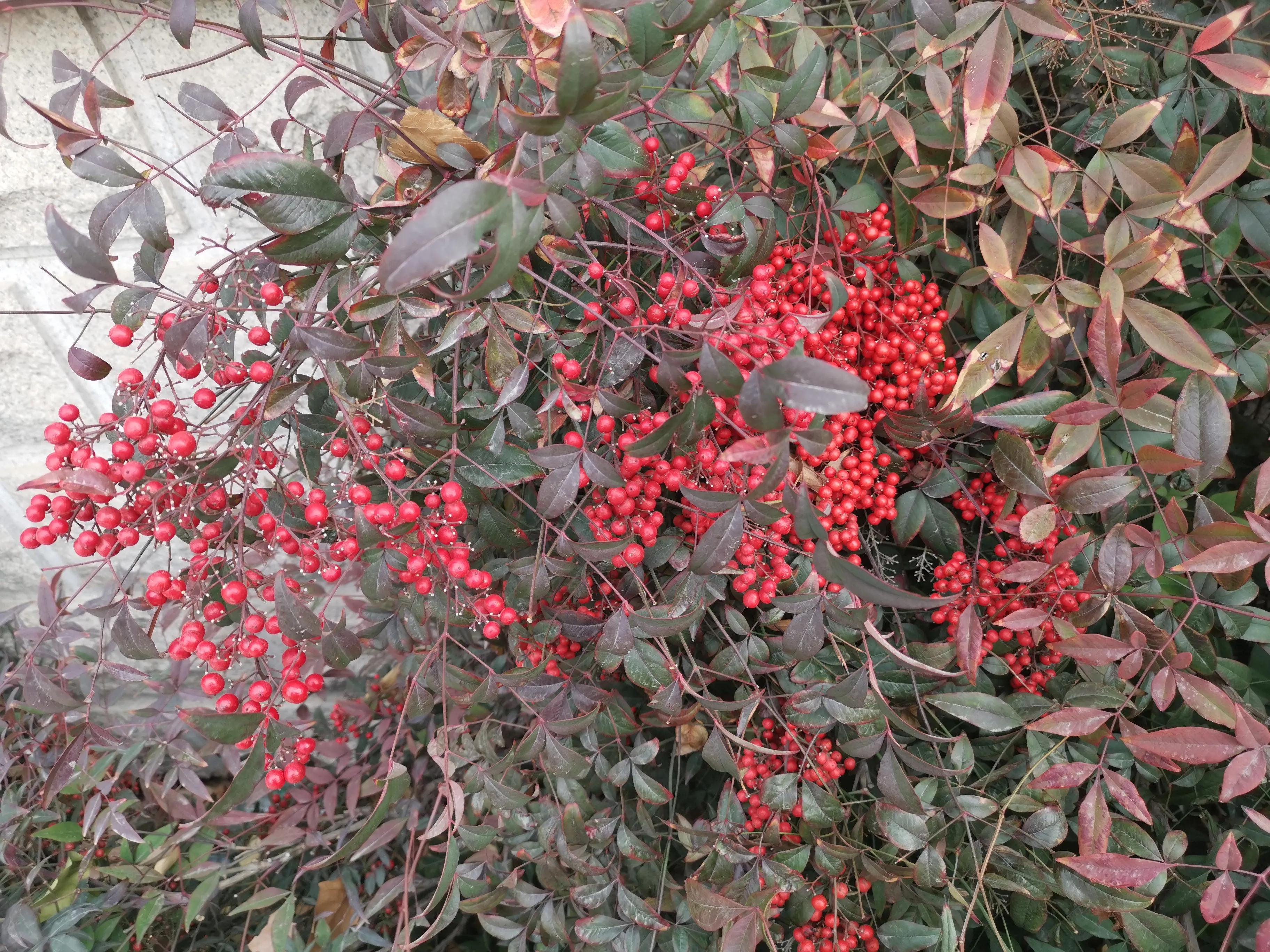 法律服务行业现状及发展趋势,法律服务行业新模式