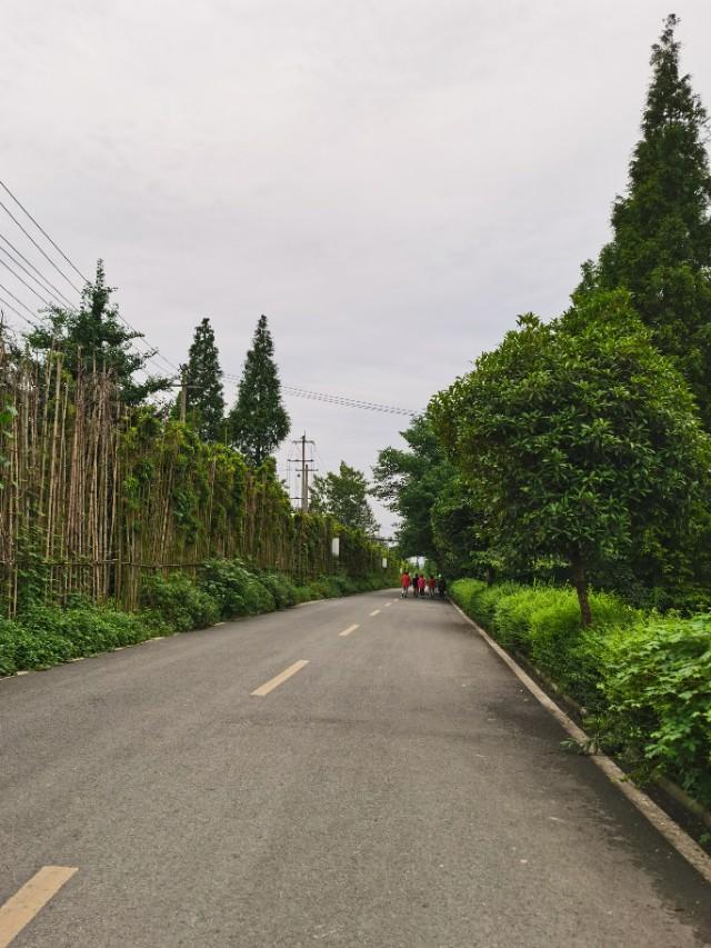 疫情下农家乐有哪些,疫情下农家乐