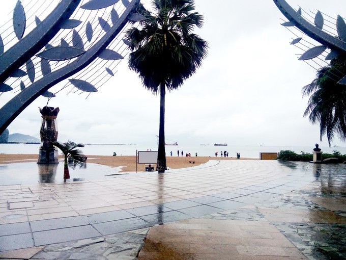 去热带的岛屿游泳,去热带旅行