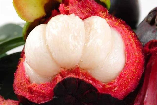 怎样的山竹才是能吃得好山竹,挑选好又甜的山竹方法介绍