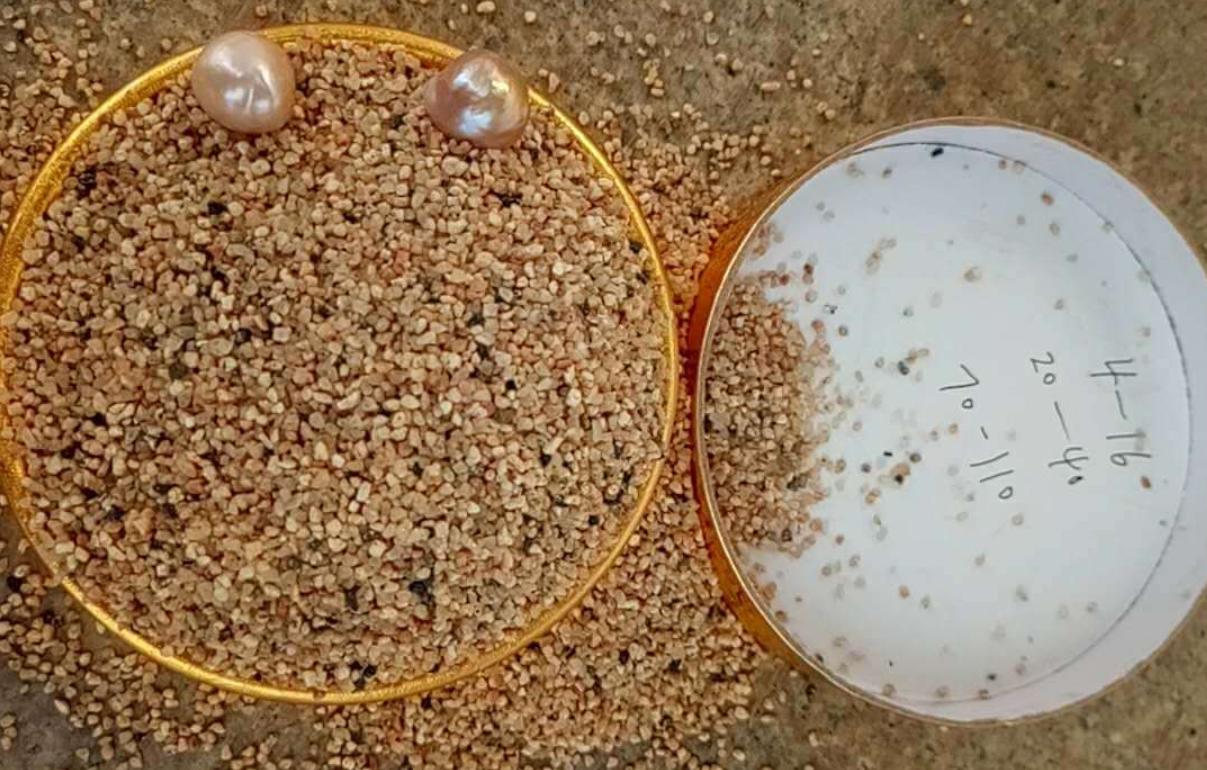 河沙暴涨是哪年开始,河沙涨了多少倍