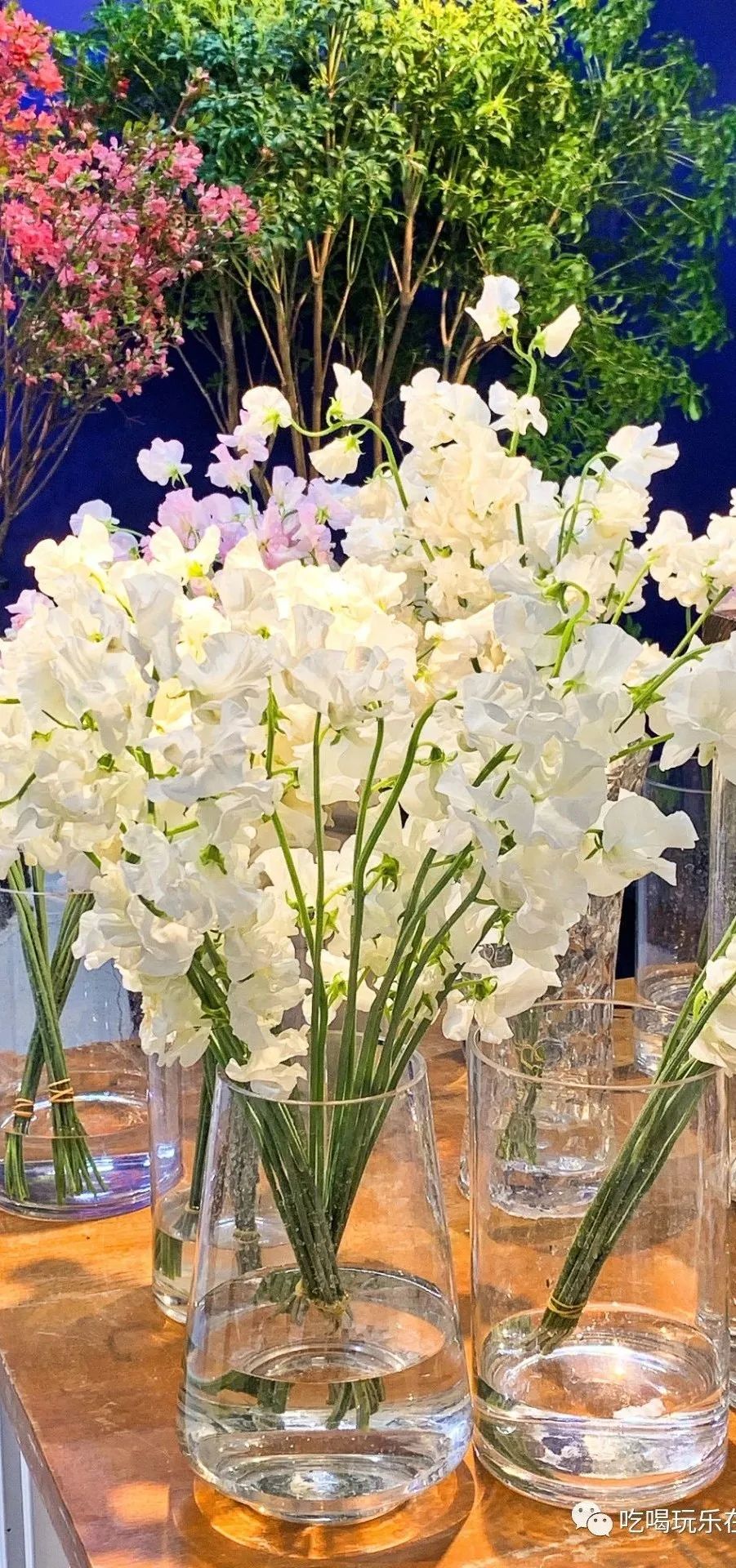 北京花市攻略大全,北京最美赏花景点