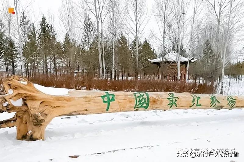 冬天漠河白桦林童话世界完整视频,冰雪大世界长白山雪乡六天五晚