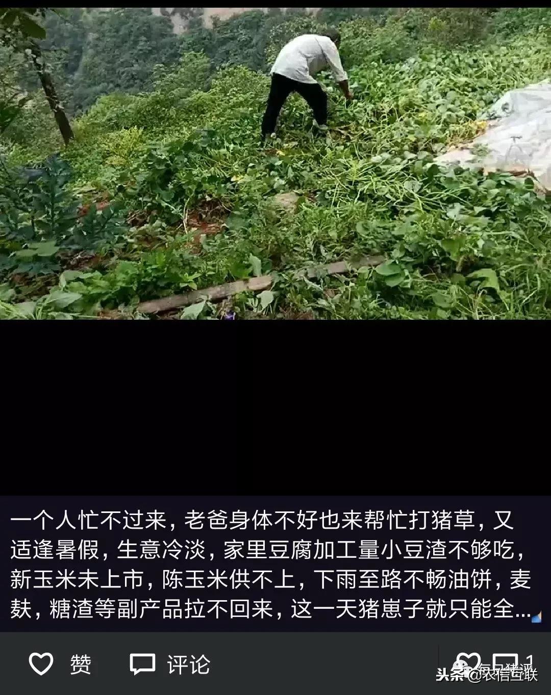 深度好文100个故事,深度好文复盘20年前