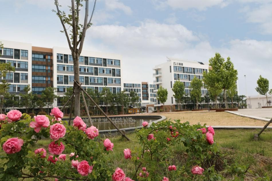 青岛幼儿师范高等专科学校新项目,青岛幼儿师范高等专科学校幼儿园