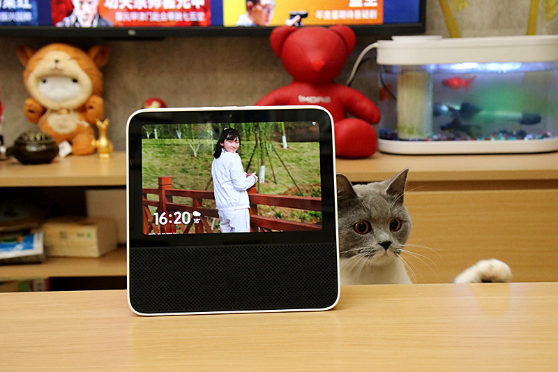 小米小爱触屏音箱和redmi8,小米小爱redmi8触屏音箱评测