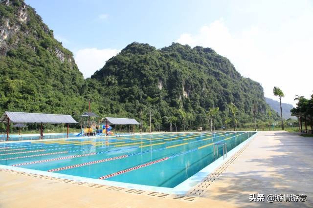 10万株沉香、檀香、红豆杉，娃娃鱼，水上舞台，广西人都知道