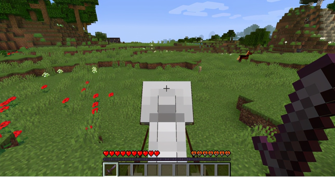 我的世界马的特点,我的世界马的特性