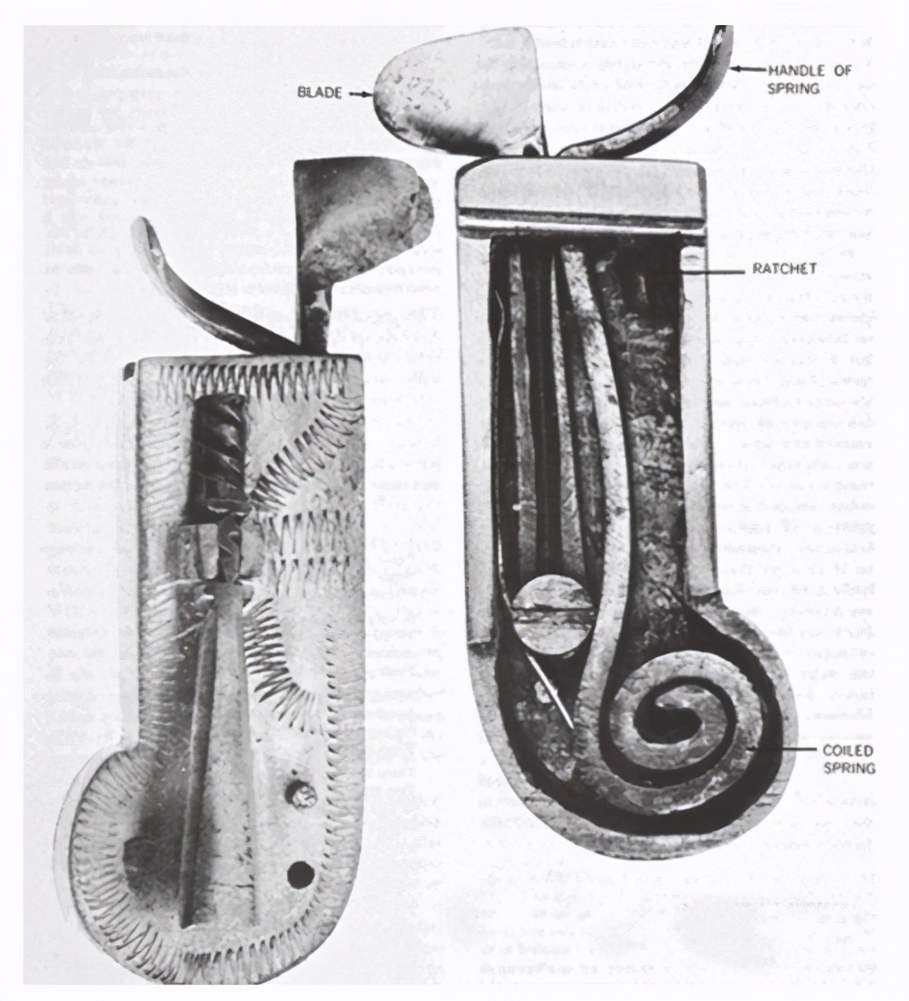 水蛭吸血国外,利用水蛭吸血疗法