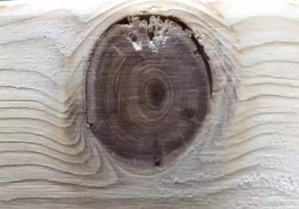 床的木板发霉了严重吗,房屋木板床发霉有霉菌怎么处理