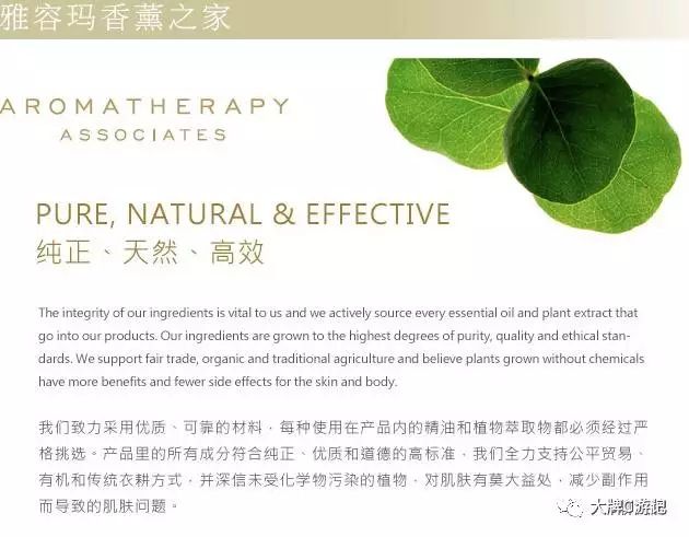 Socie施舒雅请用温柔治疗我