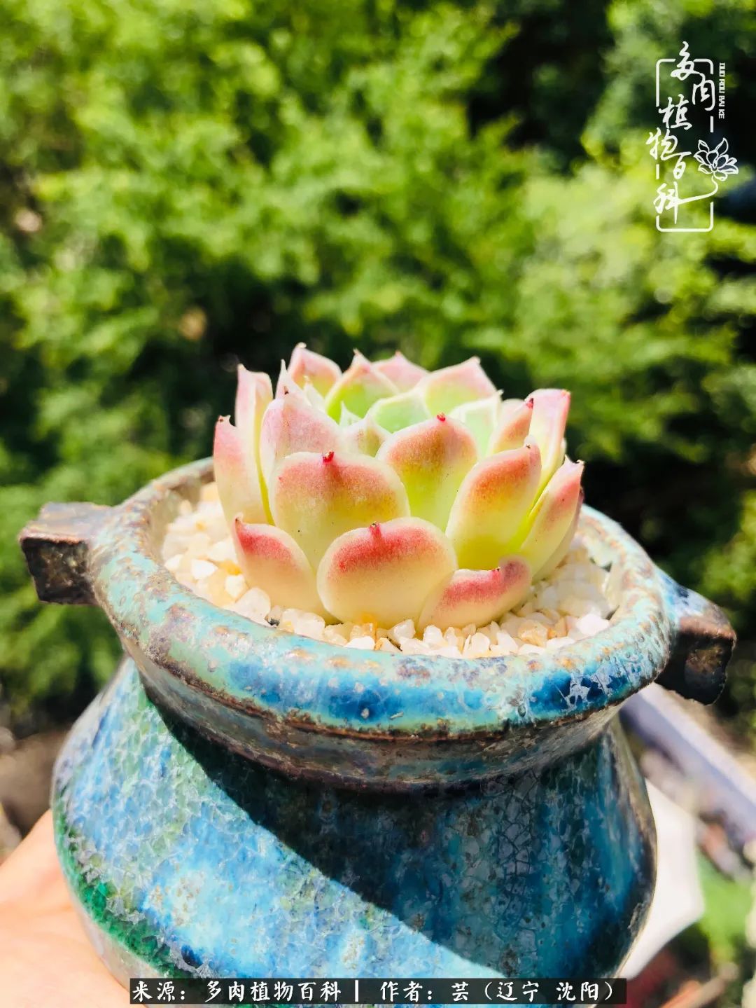 万物皆有灵性有因必有果,万物皆有灵性与生命