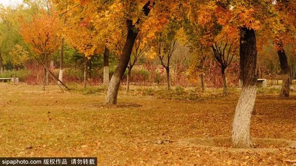 10月北京最佳小众旅行地！绝不能错过的秋色，到底有多美？