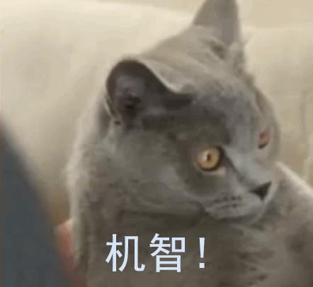 戴牙套真的会出现牙套脸,戴牙套期间牙齿变龅了