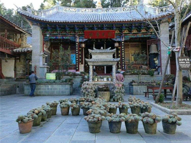 圆寂后肉身不腐的女高僧,修成菩萨相貌的女人