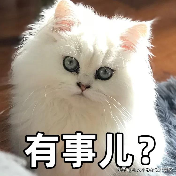 脸大变美神器,不同脸型的化妆技巧全在这