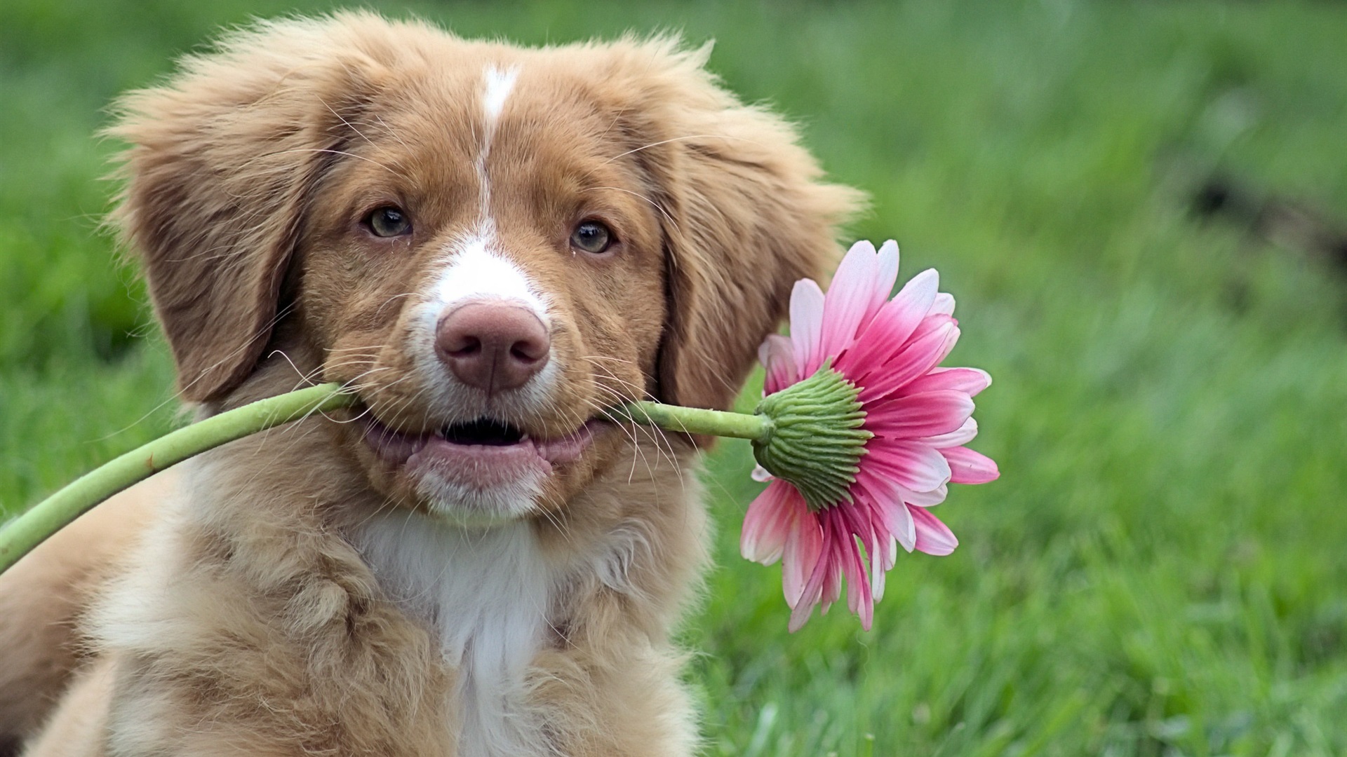 mybestfriend合唱,mybestfriend歌曲完整版