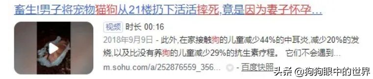 狗狗感冒好了没几天又感冒了,狗狗感冒好了之后还是没精神