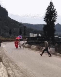 搞笑gif段子你家狗真会玩啊,狗子剃毛恶搞