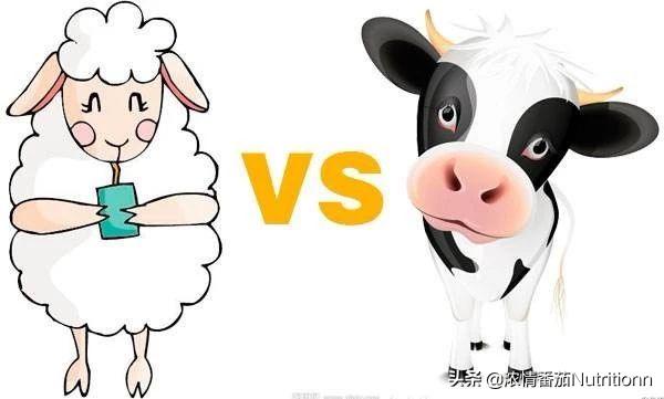 羊奶粉的营养价值适应人群,喝羊奶粉的营养价值及功效