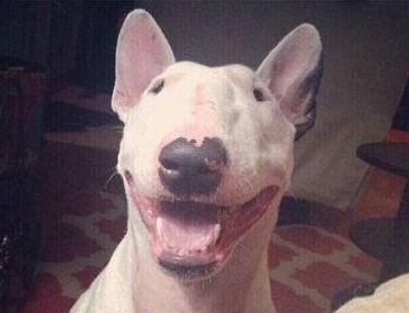 烟酰胺维生素c美白吗,烟酰胺维c润肤乳真的可以美白吗