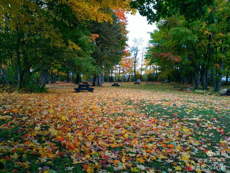漫步魁北克体验不一样的北美风情,北美枫情蒙特利尔