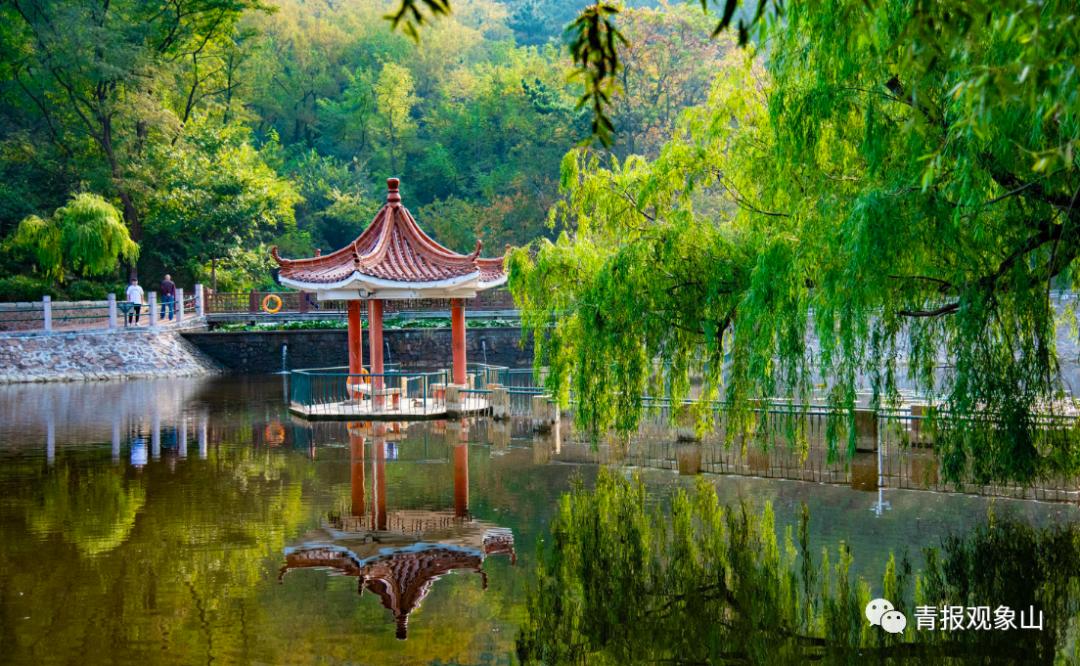 青岛市山头公园综合整治方案,山顶公园整顿