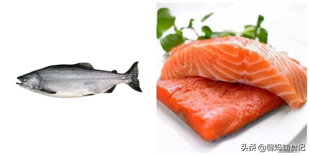 三文鱼怎么给宝宝做辅食最好吃,宝宝三文鱼可以和什么一起吃