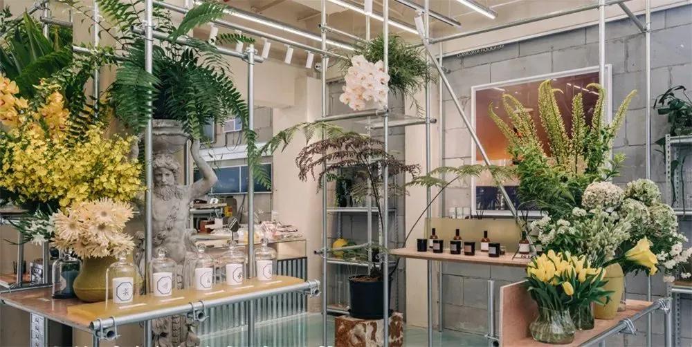 七夕玫瑰价格涨十倍,七夕玫瑰卖多少钱合适