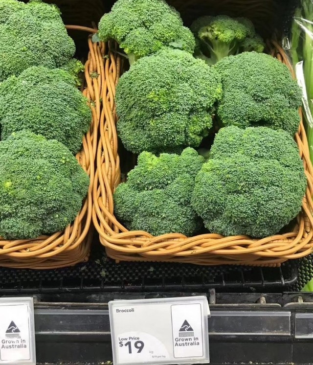 nonono猫原视频,德国bozo卫生间厕纸盒壁挂式