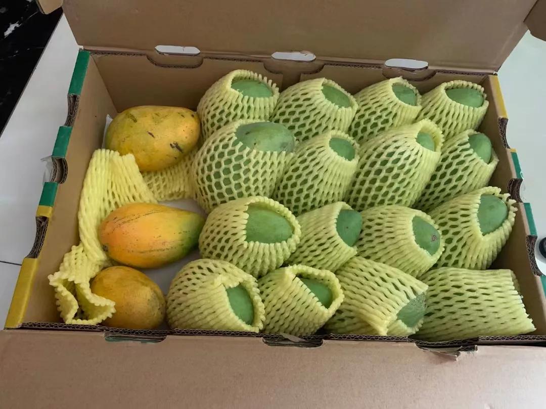 芒果的十大经典吃法,芒果的做法很有教育意义