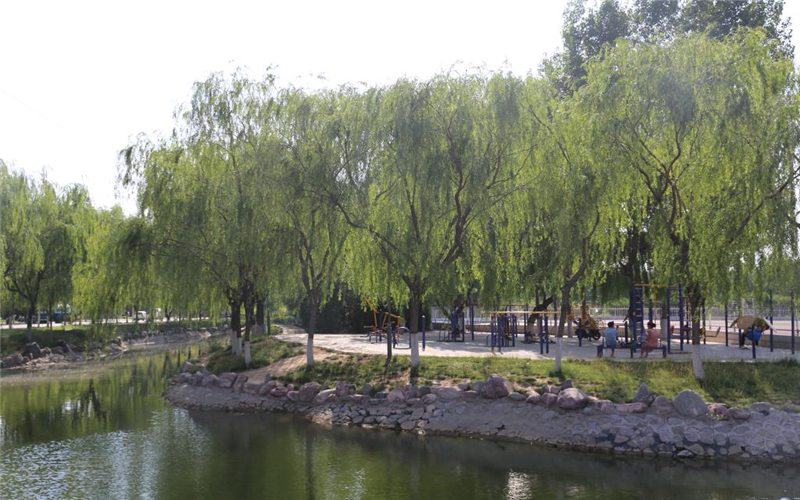 河南民办高校（本科）大起底：野花儿香，能采不？