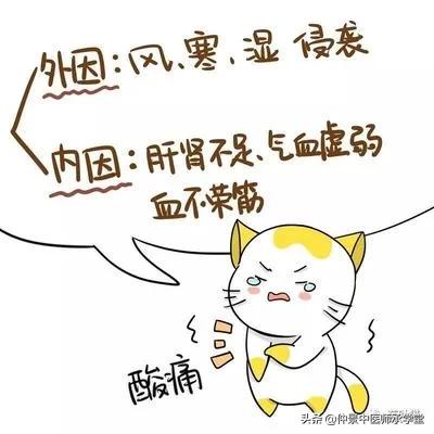 腰背怕冷吃什么药呢,腰背冷是身体有寒吗