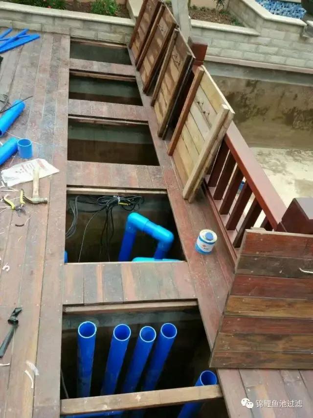 养锦鲤用过滤桶过滤系统,锦鲤鱼池沼泽过滤与生物过滤