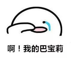 巴宝莉官网查不到是不是就是假货,网上代购的巴宝莉是真的吗