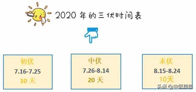 三伏贴敷冬病夏治正当时,三伏贴一些不可不知的小知识