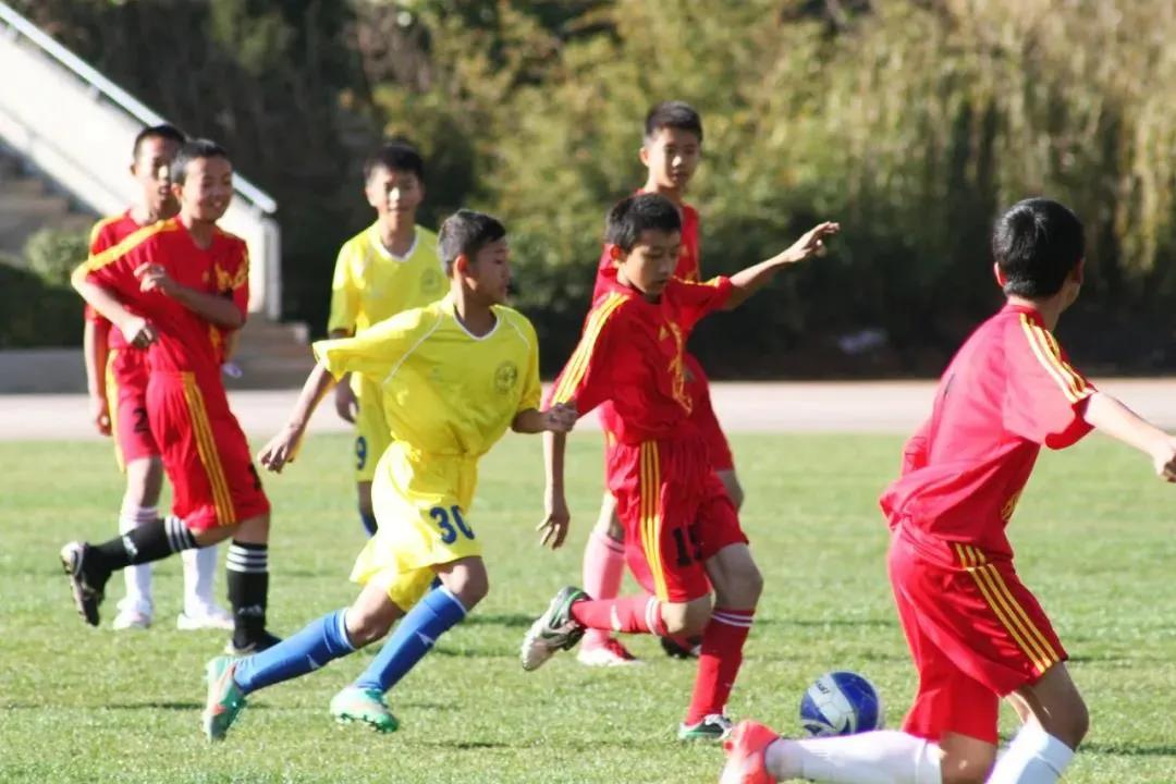 昆明体考网招生学校有哪几所,昆明招生信息网官网初中