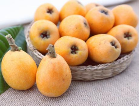 枇杷膏家庭自制法没有枇杷叶,枇杷膏家庭自制法去皮吗