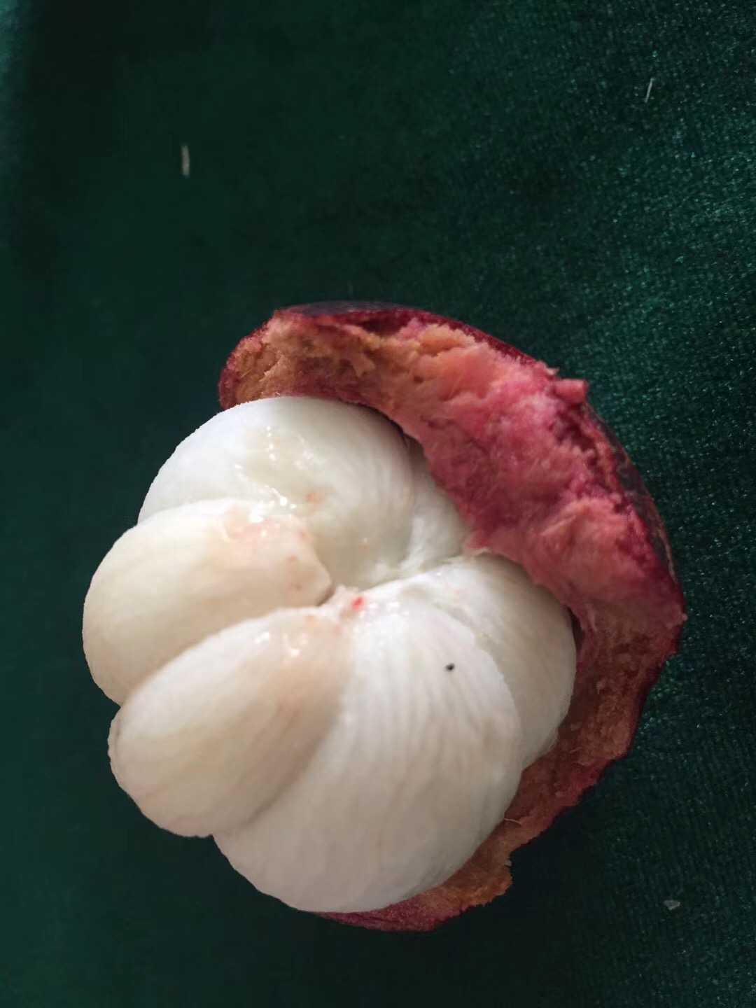 一个人如何把周末过成美好的样子？