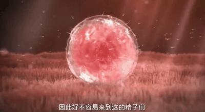 精子浓度低和精子总数少原因,精子量少怎样增加精子量