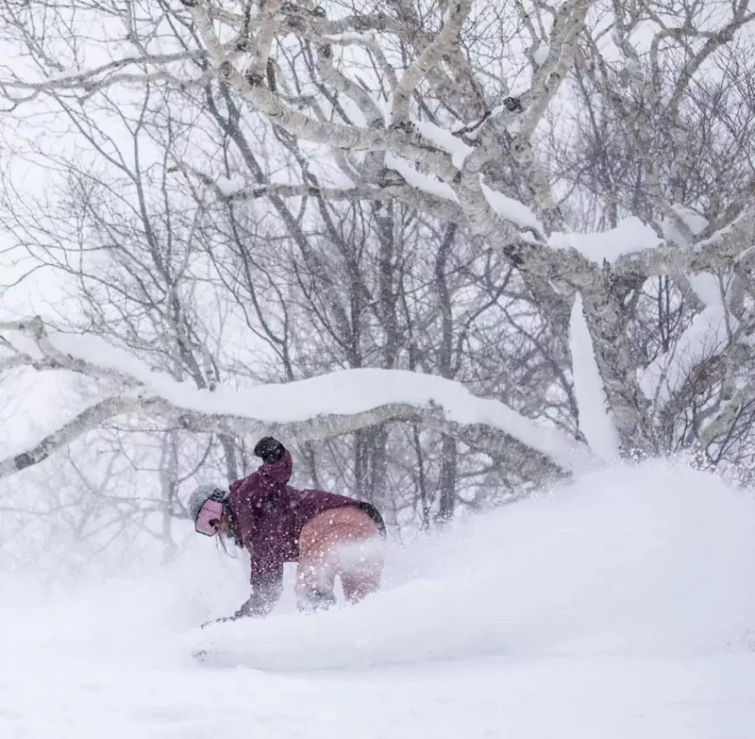 北海道滑雪自由行攻略,北海道冰雪之旅视频