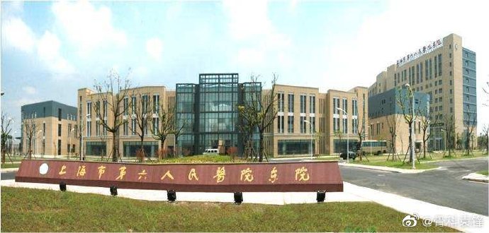 2020年上海第六人民医院招聘,上海第六人民医院运动医学专家