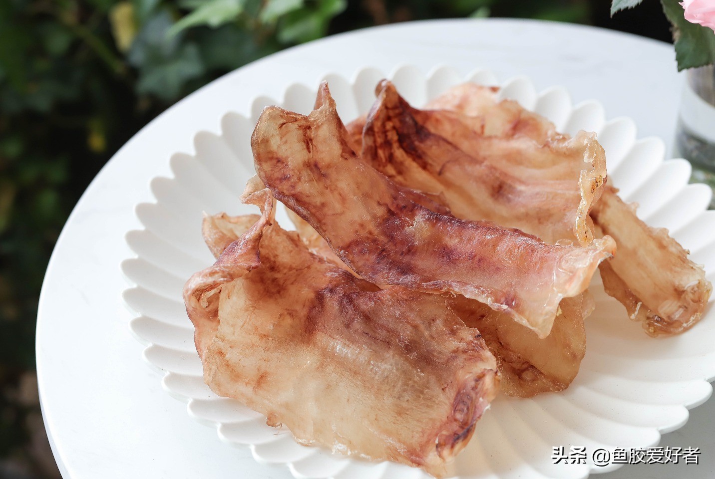 鱼胶正确的泡发方法和做法,鱼胶的制作方法最正宗